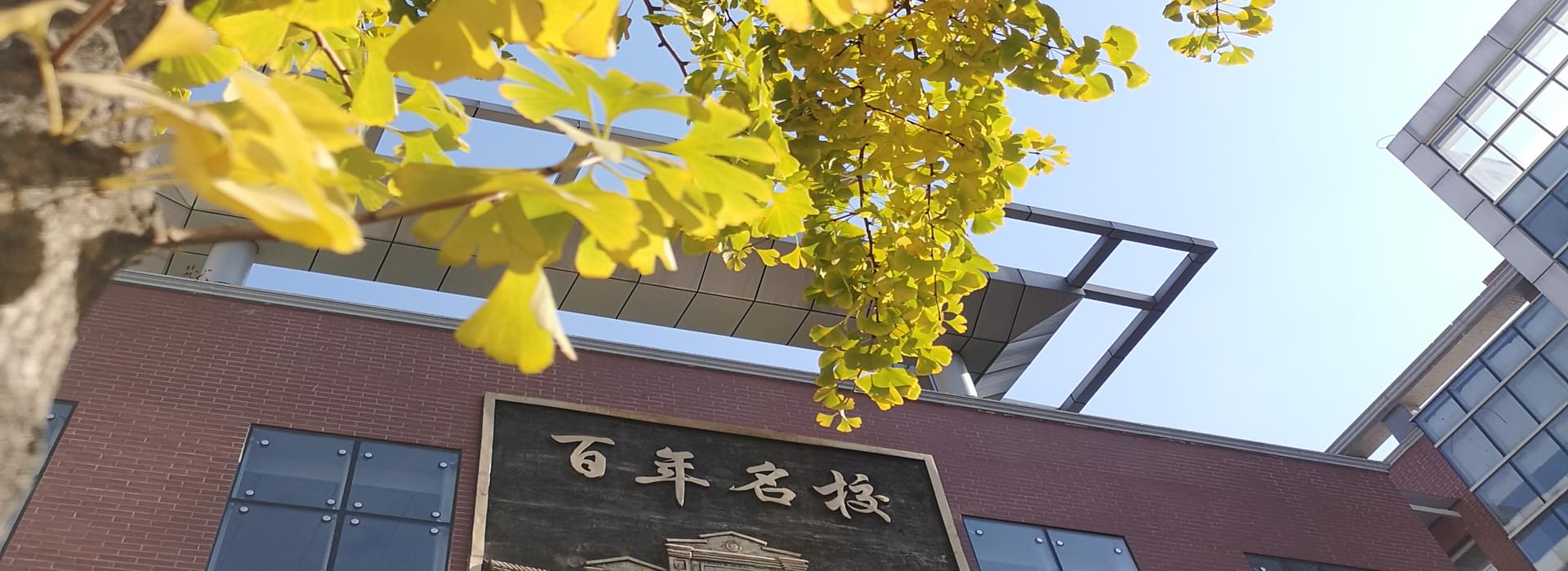 2026年自主招生及特长...